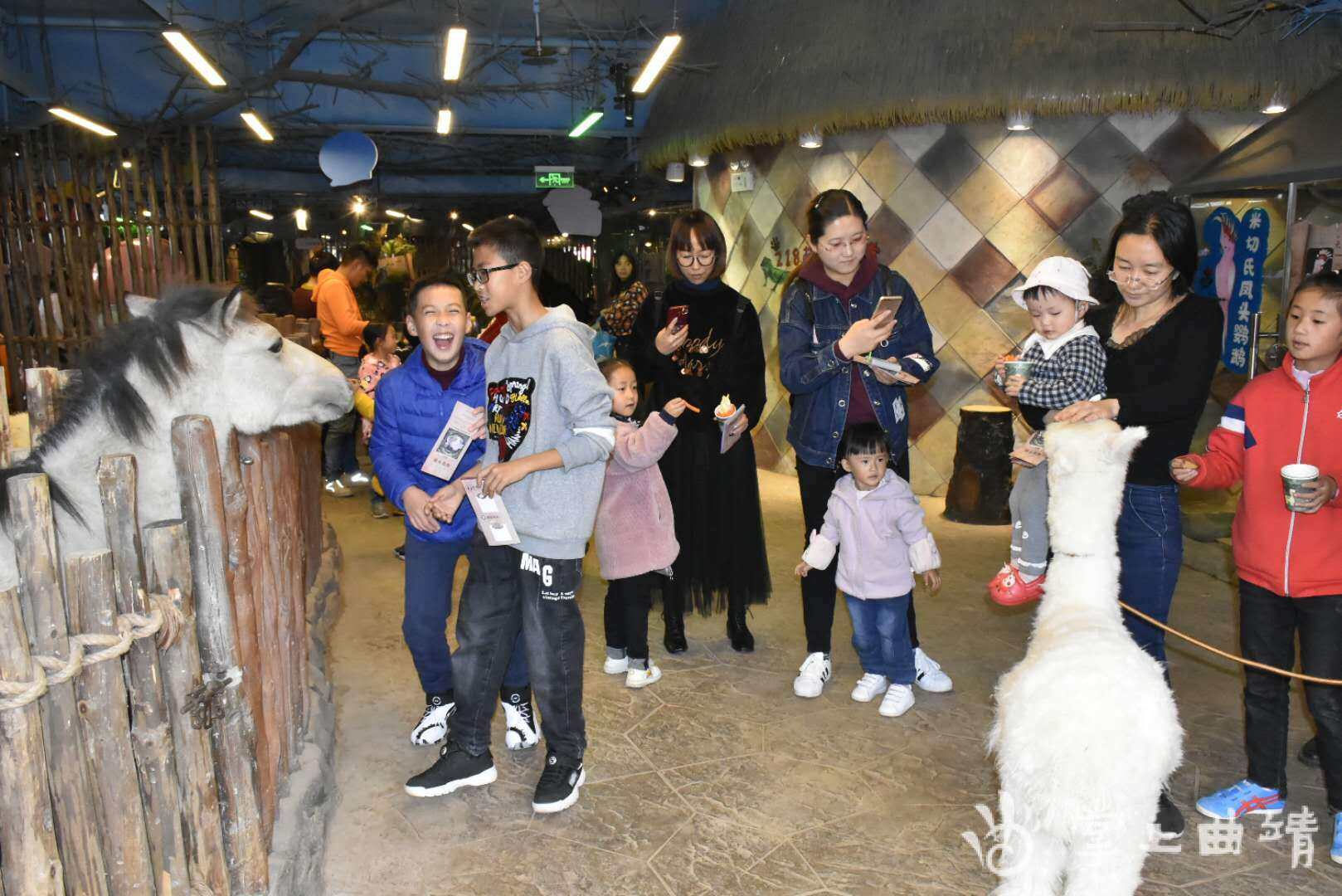 网上查开房记录的骗局 揭秘网上查开房记录骗局，小心你的隐私被黑