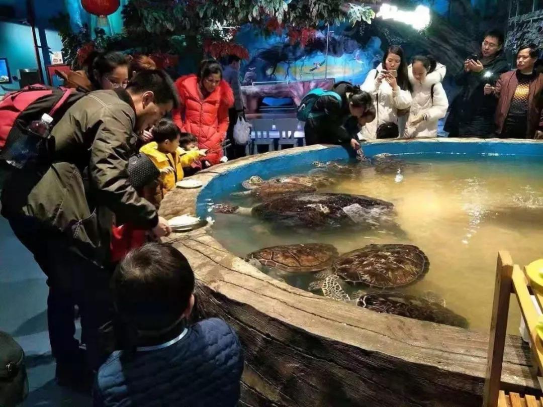 怎么查别人的开房记录 揭秘查房记录，如何合法合规地了解别人的开房信息？