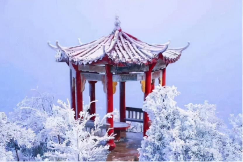 抖音月付油卡套出来安全方法 揭秘抖音月付油卡套现，安全攻略大公开！