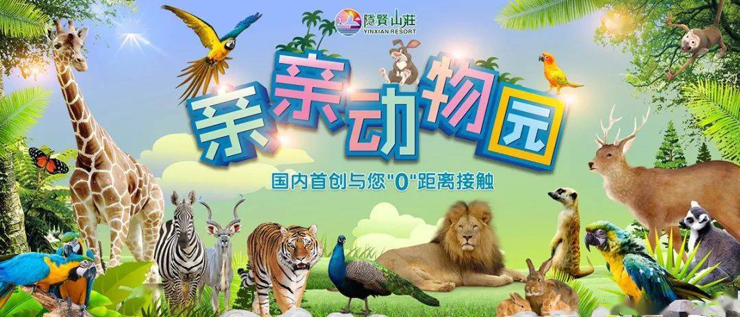 保定萌宠乐园设计风格介绍