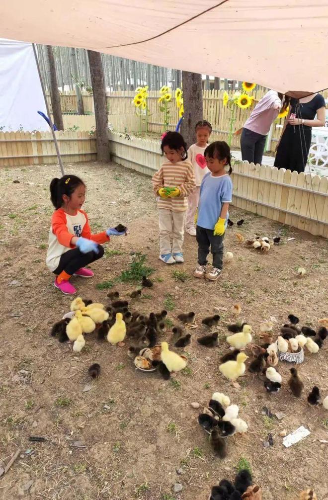 嘉鑫萌宠乐园揭秘