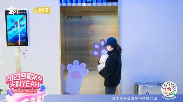 遵义那点有白条套出来 遵义那点有白条套出来，揭秘遵义白条套的奥秘与案例分享