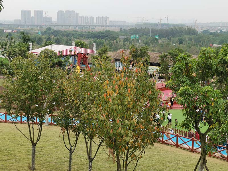 小备胎萌宠乐园，宠物乐园的奇妙冒险