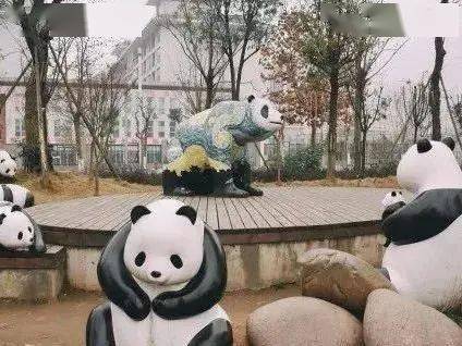 京东白条上有钱怎样提现 京东白条余额提现攻略，轻松把白条钱变成口袋钱
