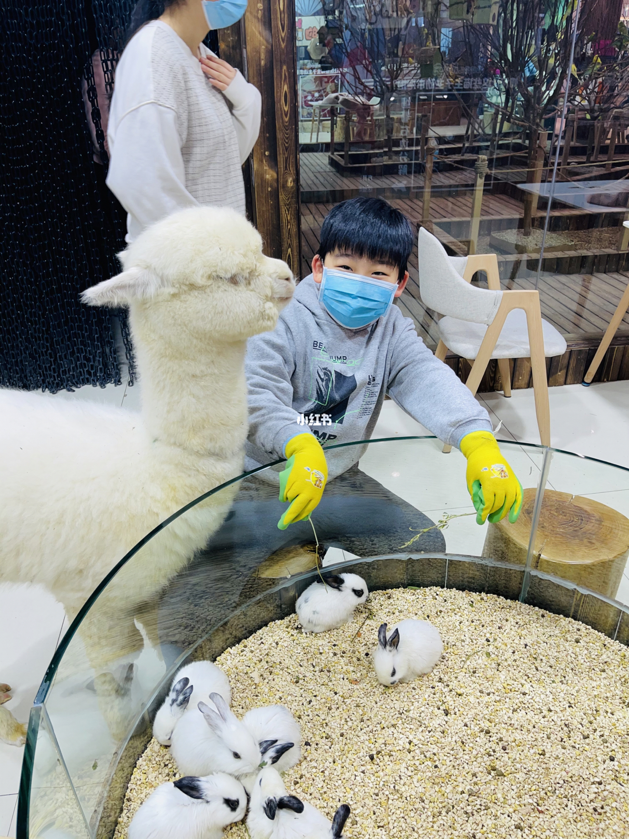 白条套现的利与弊，风险、安全指南与真实案例解析