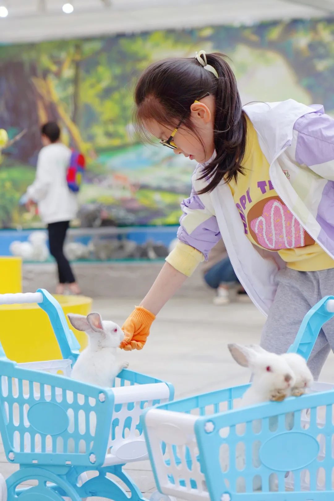 聊城萌宠乐园设计案例分析