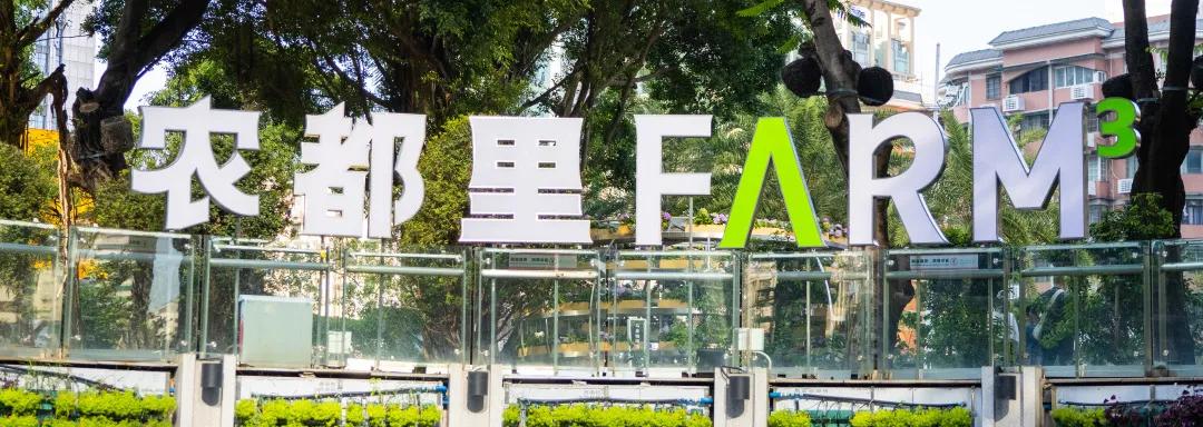 丰县抖音月付取现额度查询指南