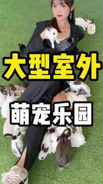 京东白条升级后可以提现吗 京东白条升级后，提现功能大揭秘！