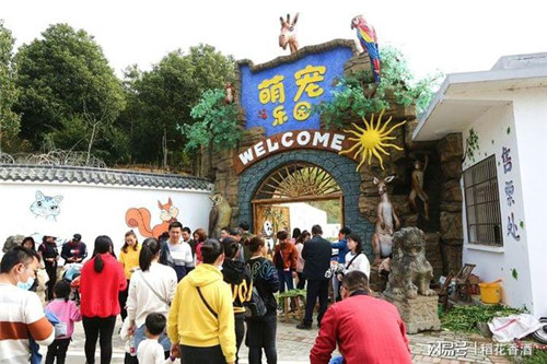 抖音月付怎么借钱提现到余额 抖音月付借钱提现攻略，轻松操作，余额轻松到账！