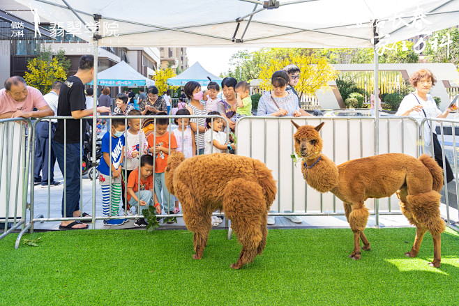 Dear Friends,Guests,and Animal Lovers