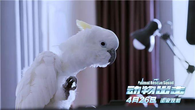随意查看别人微信聊天记录？这事儿可大可小！