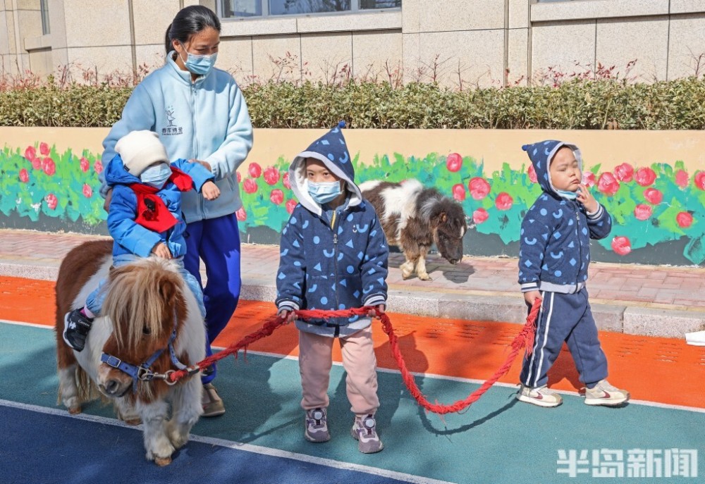 自己怎么在京东白条提现 京东白条提现攻略，轻松操作，资金到账不是梦！