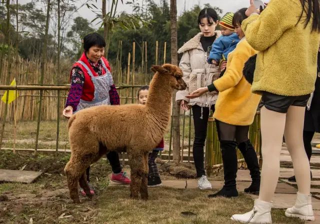微信分付提现借呗会禁用吗 微信分付提现借呗会禁用吗？揭秘两者关联及风险