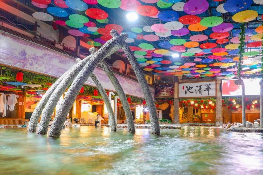 幼儿园萌宠乐园旅游记