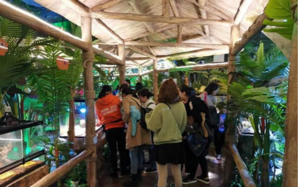饶丰驿站萌宠乐园揭秘