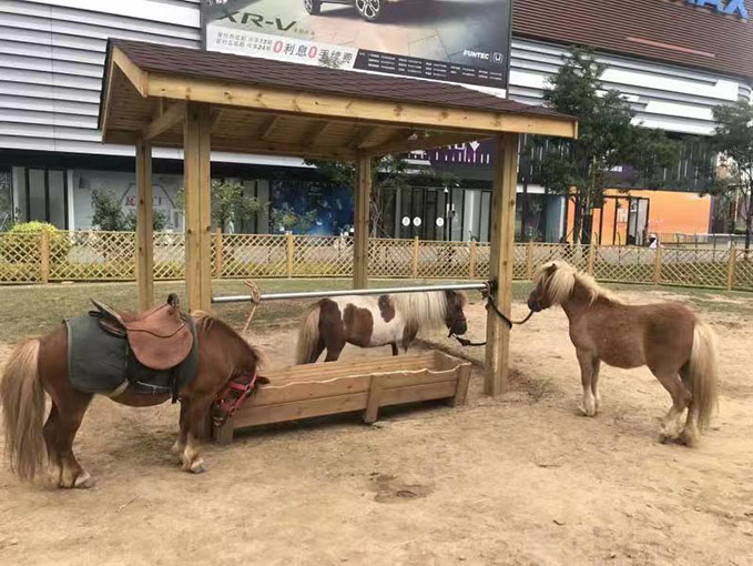住宿记录公安保留几年，详解与案例解析