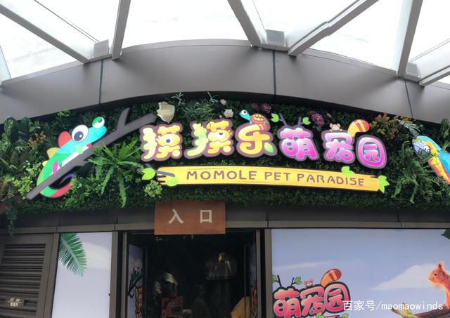 微信分付提现扣款吗 微信分付提现，扣款那些事儿，一文全解析！