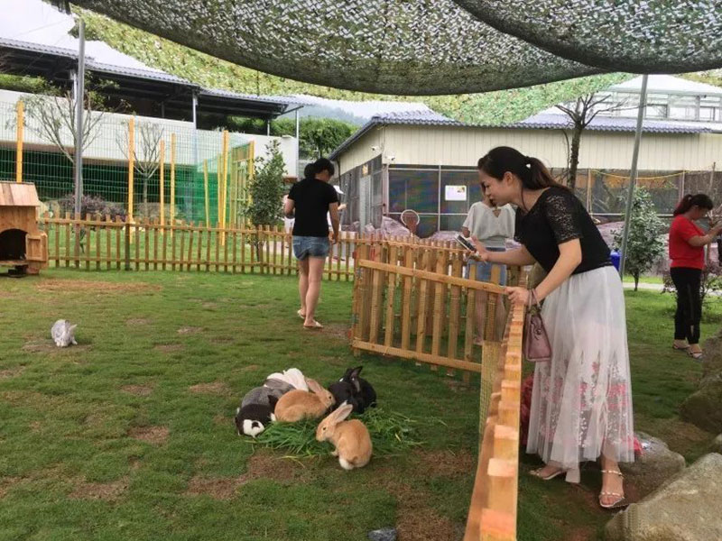附近萌宠亲子游乐园探秘，亲子游玩新去处