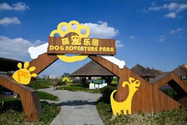 查开房记录软件 揭秘查开房记录软件，如何轻松获取酒店入住信息？