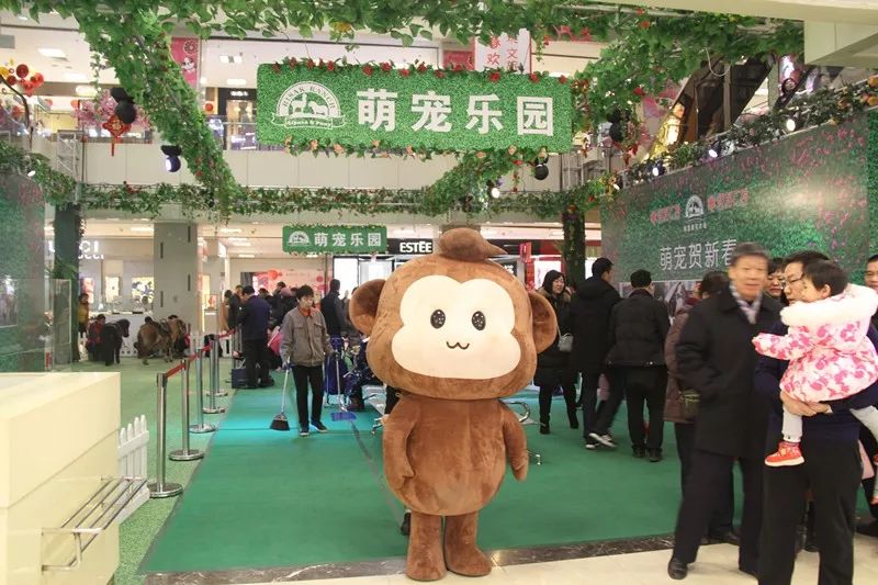 如何高效求助破解微信密码