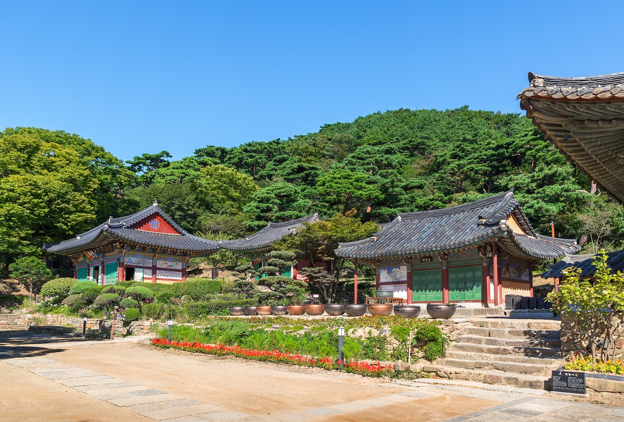 合川森林萌宠乐园位置揭秘