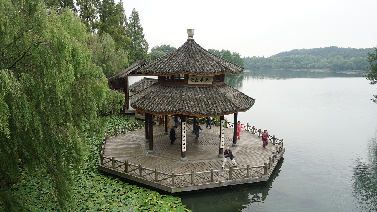 萌宠小乐园玩具视频播放，探索趣味玩具世界