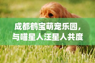 微信聊天记录被删除了？这4招帮你找回消失的聊天记录（附案例+避坑指南）
