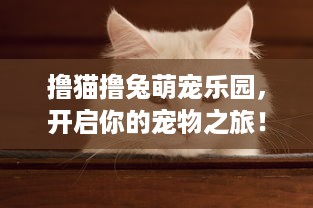 揭秘酒店入住记录查询单位及相关细节