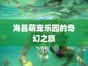 身份证查询开房记录，揭秘隐私与法律的边界