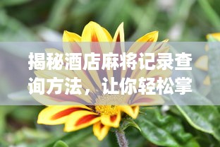 查询宾馆入住记录 揭秘宾馆入住记录，如何轻松查询你的住宿足迹