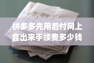 沧州套出来京东白条，深度解析与实用指南