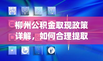 宣化克果萌宠乐园团购—开启你的宠物乐园之旅