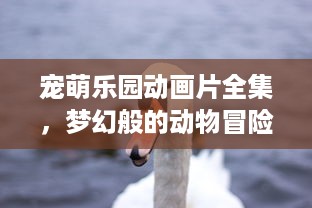手帐贴纸萌宠乐园，打造你的个性化手帐空间