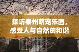 关于身份证号查开房网址的探讨与警示
