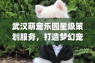 密亲子萌宠乐园设计图