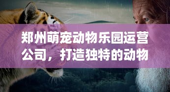 微信分付提现额度一千多 微信分付提现额度突破一千，揭秘提现攻略与案例分享