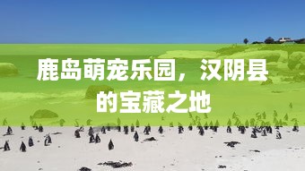 萌宠乐园草坪灯箱设计理念