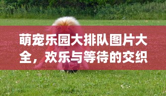 遵义哪里有花呗提现 遵义周边花呗提现攻略，轻松变现，告别尴尬！