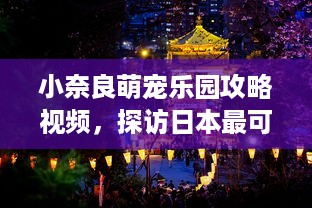 聊天记录保存全攻略，从备份到导出，手把手教你轻松搞定