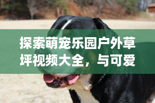 遵义哪里有花呗提现 遵义周边花呗提现攻略，轻松变现，告别尴尬！