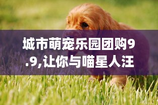 郑州亲子萌宠乐园设计图