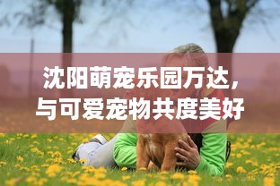 京东白条如何使用免费提现 京东白条免费提现攻略，轻松操作，省心又省钱！