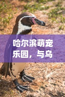 自己怎么用羊小咩便荔卡提现吗 羊小咩便荔卡提现攻略，轻松操作，快速到账！