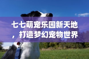 微信分付提现扫码 微信分付提现扫码，轻松操作，安全便捷！