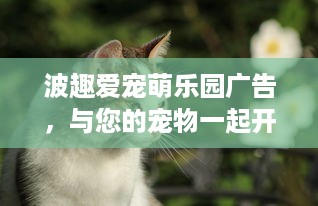 查开房网址输姓名 揭秘查开房网址输姓名背后的秘密，网络隐私的边界在哪里？