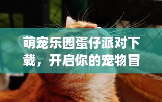 微信分付提现是否需要扫脸？详解流程与注意事项