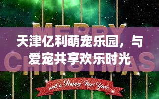 手把手教你查个人开房记录，合法途径、避坑指南与常见问题全解析