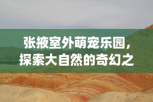京东白条商城额度套出来商家 揭秘京东白条商城额度套现，商家如何巧妙利用？