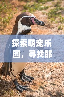 湖南新开的萌宠乐园盘点