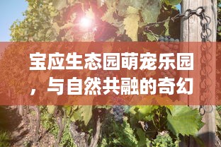 京东白条任何提现 京东白条任意提现，轻松解决资金周转难题！